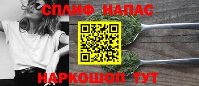 МДПВ Гагарин