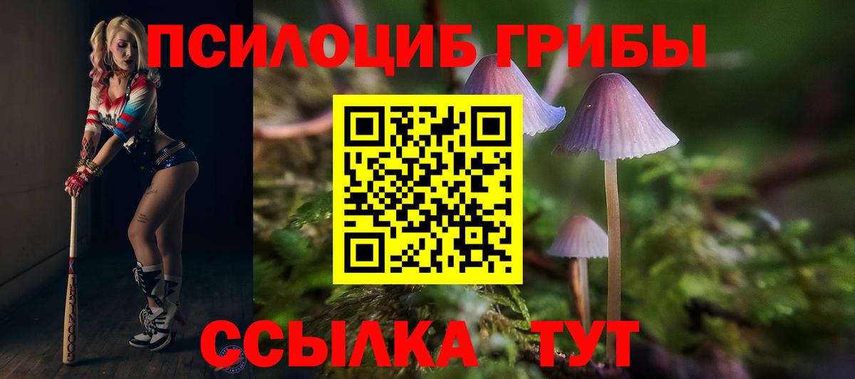 Минеральные Воды  Псилоцибиновые грибы GOLDEN TEACHER  Псилоцибиновые грибы GOLDEN TEACHER  Вход с VPN 